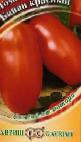 Photo des tomates l'espèce Banan krasnyjj