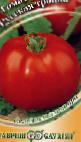 Photo Tomatoes grade Russkaya Trojjka