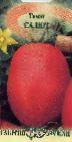 Photo Tomatoes grade Salyut