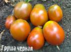 Photo Tomatoes grade Grusha Chernaya
