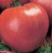 Photo des tomates l'espèce Rozovyjj Spam F1