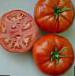 Photo des tomates l'espèce Lajjf F1