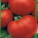 foto I pomodori la cultivar Khali-Gali F1