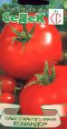 kuva tomaatit laji Komandor