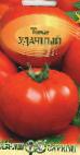 Photo Tomatoes grade Udachnyjj