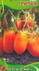 Photo des tomates l'espèce Marusya