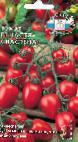 kuva tomaatit laji Nastya-Slastjona F1