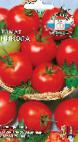 Foto Los tomates variedad Nikola