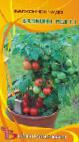 Photo des tomates l'espèce Balkoni Red