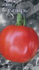 Photo Tomatoes grade Bogatyr 