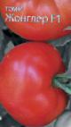 Photo des tomates l'espèce Zhongler F1