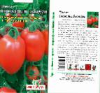 Photo Tomatoes grade Ogorodnyjj koldun
