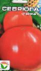 Foto Los tomates variedad Sevryuga