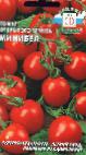 Photo des tomates l'espèce Minibel