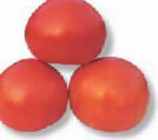 Photo des tomates l'espèce Skif F1 