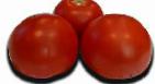 kuva tomaatit laji Bella Rosa F1