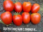 foto I pomodori la cultivar Argentinskaya slivka krasnaya 