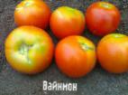 Foto Los tomates variedad Vajjnmon plyus 