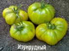 Photo Tomatoes grade Izumrudnyjj 