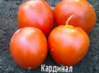 Photo des tomates l'espèce Kardinal 