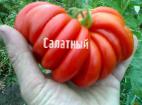 Foto Los tomates variedad Salatnyjj 