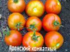 foto I pomodori la cultivar Yaponskijj komnatnyjj 