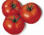 Foto Los tomates variedad Amiela 