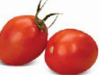 Photo des tomates l'espèce Shanti F1
