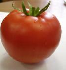 Photo des tomates l'espèce Linda F1 