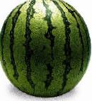 Photo Watermelon grade Atika F1 (Bessemyannyjj)