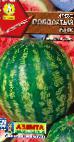 Foto Wassermelone klasse Polosatyjj bok