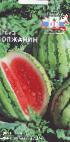 foto L'anguria la cultivar Volzhanin