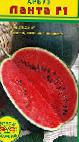 Photo Watermelon grade Lanta F1 