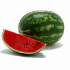 Photo Watermelon grade Odissejj F1