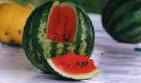 Photo Watermelon grade Rannijj Kubani