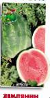 Photo Watermelon grade Zemlyanin