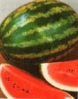 Photo Watermelon grade AU-Prodyuser PVP