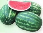 Photo Watermelon grade Krimson Rubi 