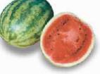 Photo Watermelon grade Khelen F1