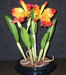 снимка Интериорни цветове Cattleya Орхидея тревисто , оранжев