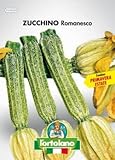 Sementi orticole di qualità l'ortolano in busta termosaldata (160 varietà) (ZUCCHINO ROMANESCO) foto, nuovo 2024, miglior prezzo  recensione