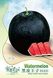 Visa Store 2018 vendita calda Heirloom nero rotondo rosso semi di anguria senza semi, confezione originale, 6 semi/pacchetto, dolce melone succosa # TS057 foto, nuovo 2024, miglior prezzo  recensione