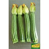 ZUCCHINO ROMANESCO NR.40 SEMI foto, nuovo 2024, miglior prezzo EUR 2,00 recensione