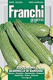 Portal Cool Semi Franchi d'Italia - Zucchine - Alberello di Sarzana - Semi foto, nuovo 2024, miglior prezzo EUR 9,99 recensione