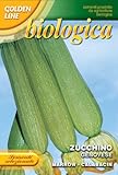 ZUCCHINO GENOVESE SEMENTE BIOLOGICA BUSTA foto, nuovo 2025, miglior prezzo EUR 3,32 recensione