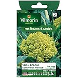 Vilmorin - Cavolo Broccolo Romanesco precoce foto, nuovo 2025, miglior prezzo  recensione