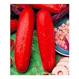 10pcs / lot Red cetriolo semi deliziose verdure delle piante da frutto BonsaïPianta foto, nuovo 2024, miglior prezzo EUR 10,99 recensione