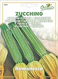 Hortus 56ZUC6431 Maxi Busta Ortovivo Zucchino Romanesco, 12x0.2x16.5 cm foto, nuovo 2024, miglior prezzo EUR 0,79 recensione
