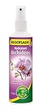 ALGOFLASH Hydratant Orchidées, Vaporisation 1 xfois par jour, 250 ml, AORCHYDRA250N Photo, nouveau 2024, meilleur prix 7,10 € (28,40 € / l) examen