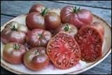 30 semillas CHEROKEE PURPLE Heirloom tomate 2017 (semilla de la herencia vegetal no gmo) Foto, nuevo 2024, mejor precio 3,99 € revisión